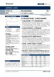 2018年报&19年一季报点评：Q1营收业绩开始回暖，多品牌龙头值得期待