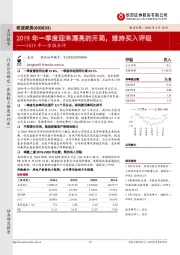 2019年一季报点评:2019年一季度迎来漂亮的开局,维持买入评级