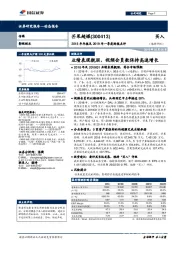 2018年年报及2019年一季度财报点评:业绩表现靓丽,视频会员数保持高速增长