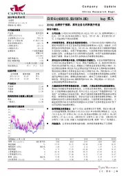 2019Q1业绩好于预期，原有业务毛利率提升明显