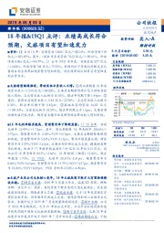 18年报&19Q1点评：业绩高成长符合预期，文旅项目有望加速发力