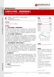 恩华药业2019年一季报点评报告：业绩符合预期，继续稳健增长