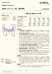 消费龙头掘金动力市场