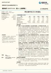 新金融科技巨头的崛起