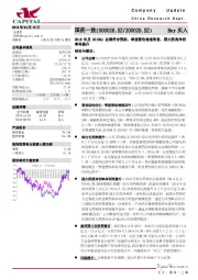 2018年及2019Q1业绩符合预期,季度营收增速恢复,国大药房净利率再提升