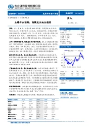 业绩符合预期，隔膜龙头地位稳固