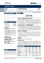 龙头归来