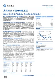 100万吨化学浆产能获批，原材料自给率持续提升