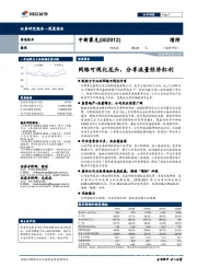 网络可视化龙头,分享流量经济红利