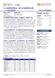 首次覆盖报告：自主品牌矩阵形成，国内市场高增长在望