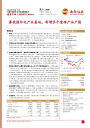 募投国际化产业基地，新增多个重磅产品产能