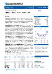 业绩释放进入提速期，长三角区域土储独具优势