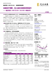 2019年一季报点评：业绩低于预期，收入端承压销售费用提升