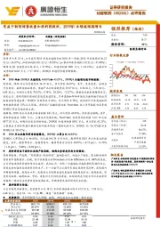 点评报告:受益于制剂销售放量和原料药提价,2019Q1业绩超预期增长