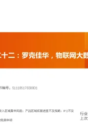 科创板系列二十二：罗克佳华，物联网大数据服务先行者
