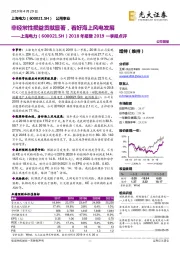 2018年报暨2019一季报点评：非经常性损益贡献显著，看好海上风电发展