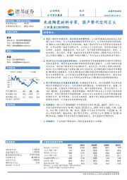 先进陶瓷材料专家,国产替代空间巨大-雷涛