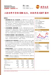 工控功率半导体IDM龙头，积极布局IGBT器件