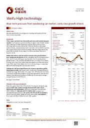 Near term pressure from weakening car market; seeks new growth drivers