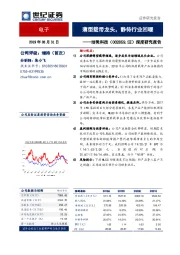 深度研究报告：薄型载带龙头，静待行业回暖