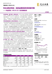 动态跟踪报告：双主业稳步推进，铂族金属回收利用发展可期