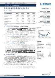 率先享受碳纤维高盈利的龙头企业