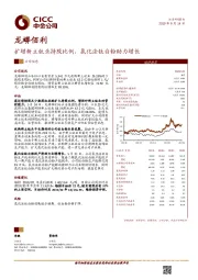 扩增新立钛业持股比例， 氯化法钛白粉助力增长