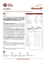 小微金融大有可为-农行普惠小微反向路演纪要