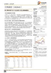 沸石需求提升及汇兑收益致中报业绩稳健增长