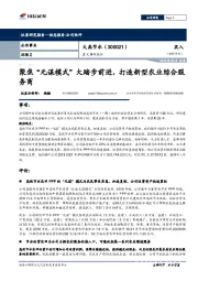重大事件快评:聚焦“元谋模式”大踏步前进,打造新型农业综合服务商