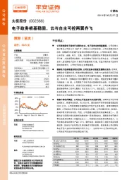 电子政务根基稳固，云与自主可控两翼齐飞