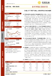 打通上中下游产业链，正极材料龙头地位稳固