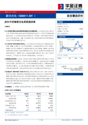 成长中的智能光电系统提供商