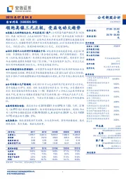 领跑高镍三元正极，受益电动大趋势