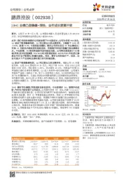 19H1业绩凸显稳健+弹性，全年成长逻辑不变