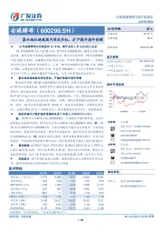 寡头地位造就国内强定价权，扩产提升海外份额