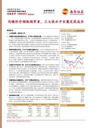 内镜诊疗领域领军者，三大技术平台奠定高成长