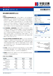 高性能锂电铜箔领先企业