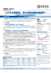 天宇股份2019年半年度业绩预告点评:上半年业绩靓丽,预计短期销量持续提升
