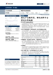 深化产业链布局，锂电材料平台型龙头再起航