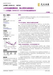 2019年半年报业绩预告点评:上半年业绩短期承压,核心竞争力保持强大