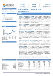 品类扩张持续，国际突破可期