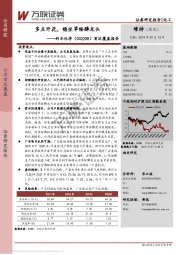 首次覆盖报告：多点开花，稳坐草铵膦龙头