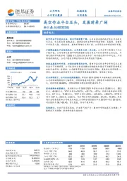 高空作业平台龙头,发展前景广阔