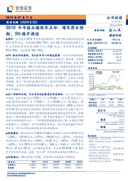 2019半年报业绩预告点评：增长符合预期，5G稳步推进