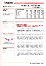 2019H1业绩预告点评:内销增长迅速,外销恢复性增长