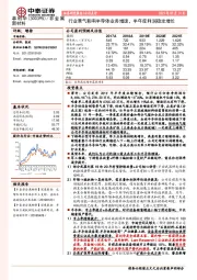 行业景气影响半导体业务增速，半年度利润稳定增长