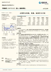 业绩符合预期,高镍、铁锂齐头并进