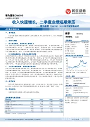 2019年中报预告点评：收入快速增长，二季度业绩短期承压