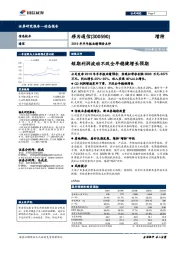2019年半年报业绩预告点评:短期利润波动不改全年稳健增长预期